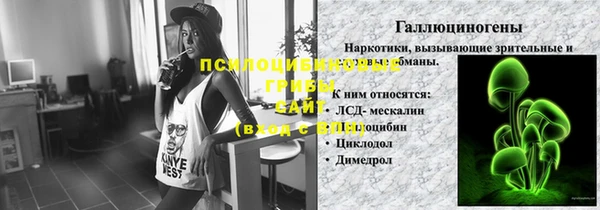 гидропоника Алзамай