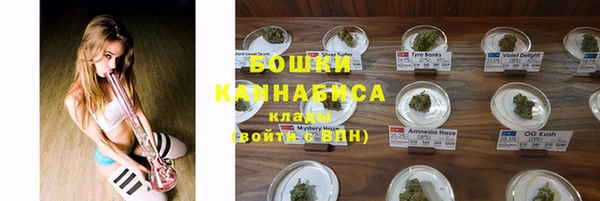 гидропоника Алзамай
