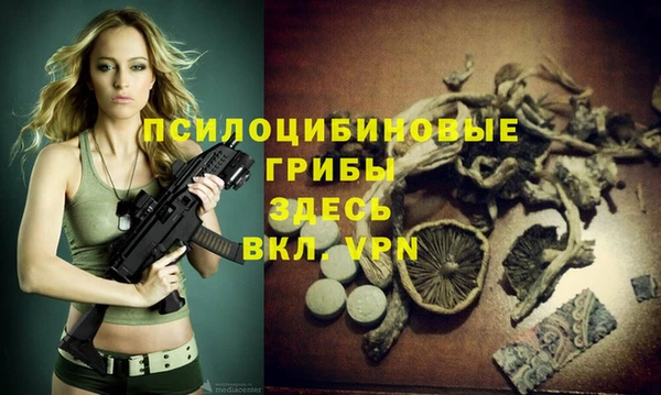 гидра Алексеевка