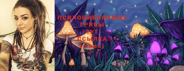 гидропоника Алзамай