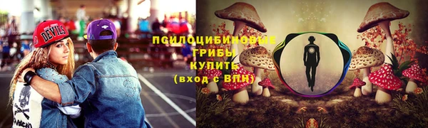 гидропоника Алзамай