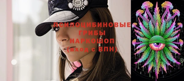 МДПВ Алексин