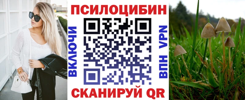 Галлюциногенные грибы Magic Shrooms купить наркотики цена Архангельск